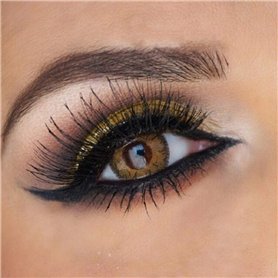FreshTone Lentilles De Contact De Couleur Hazel 3 Ton Kit De Rangement Boitier Pince et applicateur Offert 12 Mois sans correcti