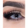 FreshTone Lentilles De Contact De Couleur Pony Gray 1 Tons Avizor Solution Multifonctions 10ML Kit De Rangement Couleur Aléatoir