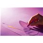 7 teintes 60% abeille 160 g (431)