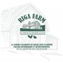 RIGA - Mélange Poules - Mélange De Graines Et Céréales - Riche En Vitamines Et Minéraux - Sain Et Nutritif - Élaboré Par Des Vét