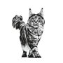 Royal Canin NEUTERED SATIETY BALANCE pour chats | 400 g | Aliment complet pour chats adultes castrés | peut aider à maintenir un