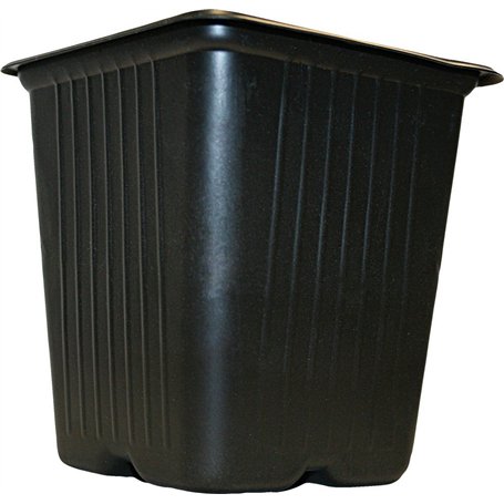 Vilmorin 3990612 Lot de 5 Bols carrés en Plastique 11 cm