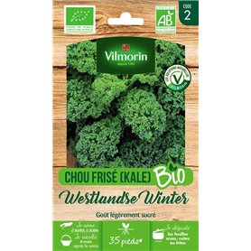 VILMORIN - Chou frisé West Winter Bio - pour Les récoltes d'hiver Jusqu'au Printemps - Semences Issues d'une Culture Conforme au