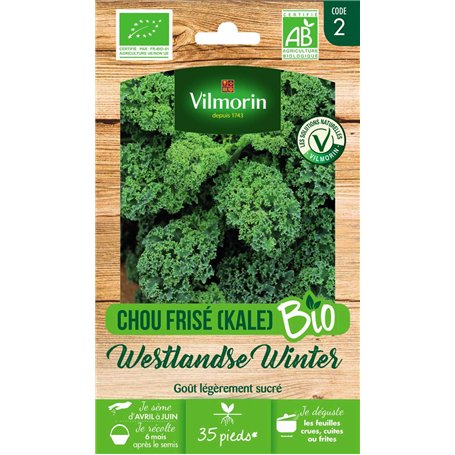 VILMORIN - Chou frisé West Winter Bio - pour Les récoltes d'hiver Jusqu'au Printemps - Semences Issues d'une Culture Conforme au