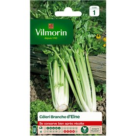 VILMORIN - Céléri Branche d'Elne - Fort rendement - Peu calorique et diététique - Excellente qualité gustative - côtes Rondes et