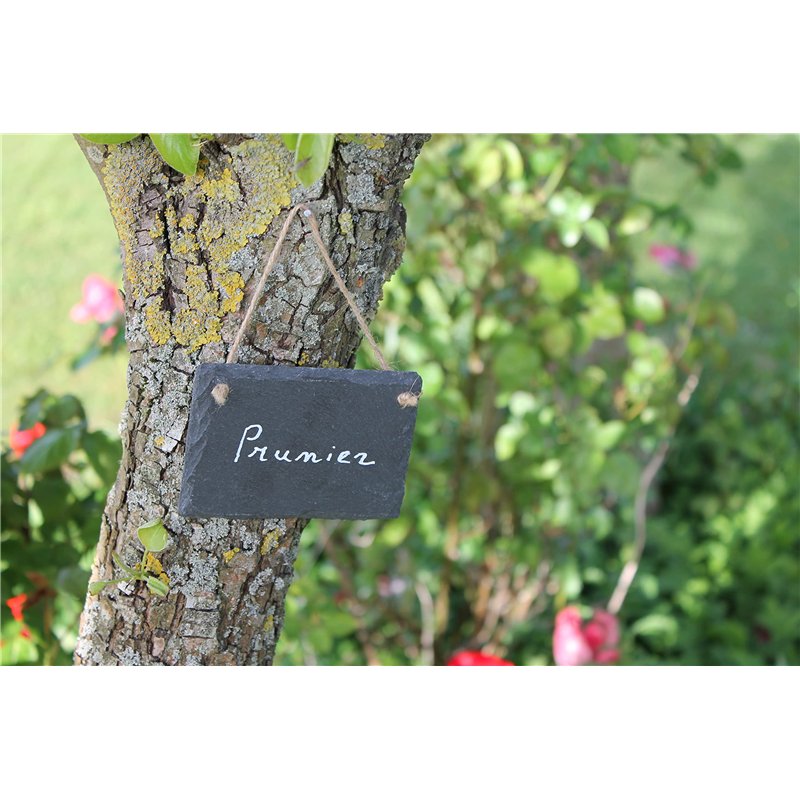 Image secondaire de La Cordeline 3 ETIQUETTES ARDOISE NATURELLE A SUSPENDRE 7 X 10CM + 1 CRAYON CRAIE, 0,5x7x10 cm