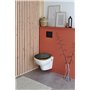 Wirquin 55722890 Plaque de commande wc suspendu double chasse Square noire compatible avec les bâti-supports Wirquin Lineo et Sm