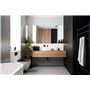 Wirquin 55722890 Plaque de commande wc suspendu double chasse Square noire compatible avec les bâti-supports Wirquin Lineo et Sm