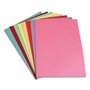 5 Etoiles 903385 Paquet de 250 sous-chemises 22 x 31 cm Couleurs Assortis