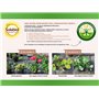SOLABIOL Engrais Conifères et Arbustes d'ornement - 1,5 Kg - 100% Organique - Action Longue Durée SOCONY15