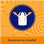 Nett Original Tampon sans Applicateur, Super Plus, Boite de 24 Tampons