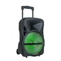 Blaupunkt - MP3937-133 - Enceinte Trolley Karaoké - LED Multicolore - Compatible Bluetooth - 16W - Noir