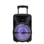Blaupunkt - MP3937-133 - Enceinte Trolley Karaoké - LED Multicolore - Compatible Bluetooth - 16W - Noir