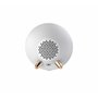 BLAUPUNKT Enceinte Bluetooth puissante - Enceinte Bluetooth Portable - Enceinte Portable - Enceinte étanche - sans Fil - Enceint