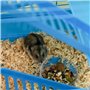 PawHut Cage pour Hamster Souris Petit Animaux Rongeur avec Tunnel Mangeoire Roue Jouet 47 x 30 x 59 cm Bleu
