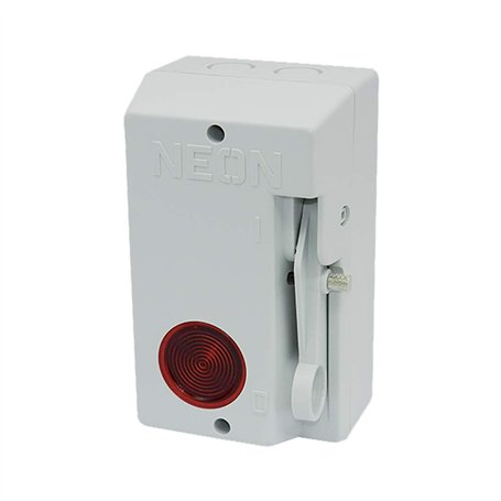 Inter pompier - dispositif de coupure de courant d'urgence pour enseigne lumineuse - Coffret coupure de courant pour pompier