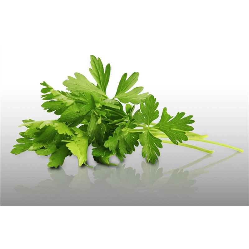 Image secondaire de 500 graines Aromatiques à semer - Le Grenier d'Abondance - PERSIL COMMUN PLAT - Petroselinum crispum