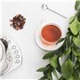H.Koenig Théière Bouilloire Instant T électrique en Verre 1.7L TI700 avec Infuseur filtre à Thé Inox 2400W Compacte, Ebullition 
