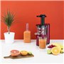 Winkel Extracteur de Jus de fruit et légumes vertical compacte 0,5L SX24 Centrifugeuse Sans BPA, Silencieux, Technologie pressio