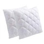 Jean Louis Scherrer Oreiller MEMOIRE DE Forme 60X60CM Lot DE 2