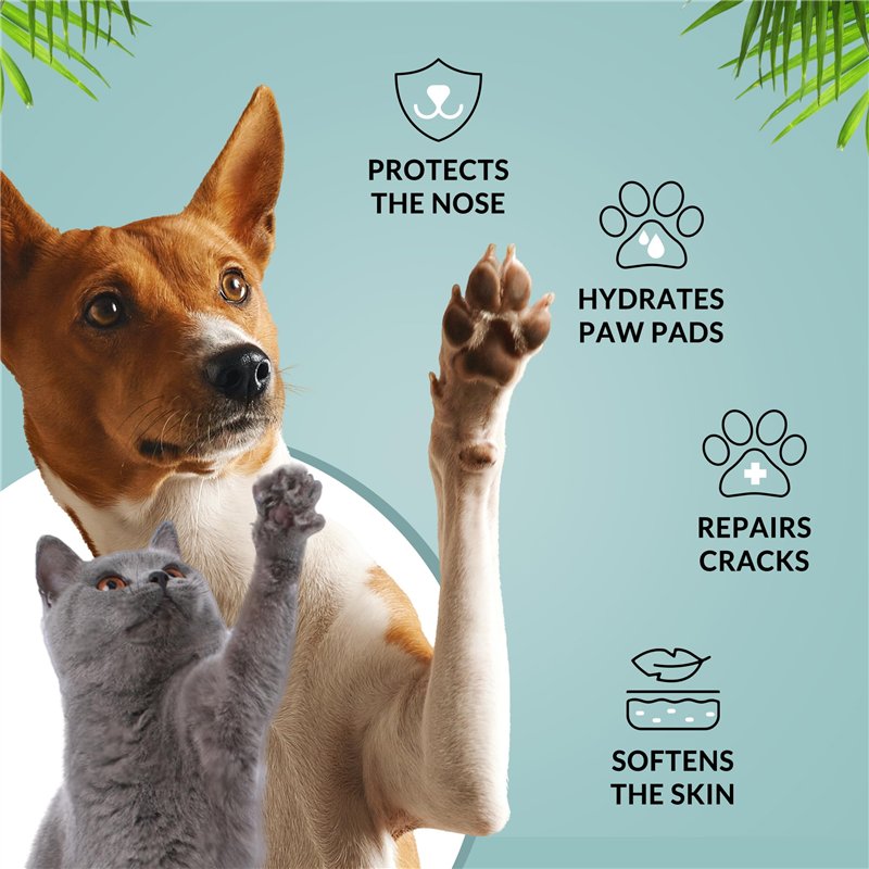 Image secondaire de Biogance - Baume Coussinets et Truffe - 50 ML - Produit de Soin pour Chien et Chat - A Base de Beurre de karité et d’Huile de Coco