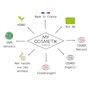 MY COSMETIK - Extrait de Pepin de Pamplemousse (EPP) BIO AB - Actif cosmétique et conservateur pour phase aqueuse - Antioxydant 