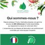 Voshuiles - Huile Essentielle Katafray - 20ml - 100% Pure et Naturelle - HEBBD - Utilisation en Massage dans Huile Végétale - Pa