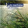 HUILE ANCHOIS SARDINE - Bidon 1 L - La Nantaise de Nutrition - Pour appâts, bouillettes, pellets et amorces - Attractif puissant