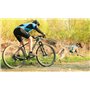 Barre VTT Link Gamme ALM déport 50cm (Roue Jusqu'à 29 Pouces) Barre VTT pour LA Pratique du CANI VTT ET DE LA CANI Trottinette.