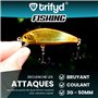 trifyd ® - Leurre Truite Rivières 5cm, Le Pack de 5 Poissons Nageurs de pêche pour Petits carnassiers