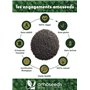 Peau | Similaires aux Graines de Chia | Qualité