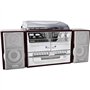 Karcher KA 320 Mini chaîne Lecteur CD / Double lecteur cassette / Platine disque (Import Allemagne)