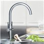 GROHE Mélangeur Évier Ambi Cosmopolitan 30190000 (Import Allemagne) Argent