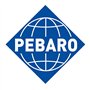 PEBARO Mini fer à repasser avec 2 embouts pour concevoir le tissu, le repassage, le patchwork et l'application de tissu non-tiss