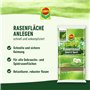 Compo Semences de Gazon - 4 kg