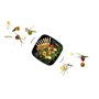 Grande Cocotte Rectangulaire (6