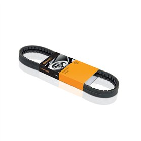Continental Contitech 6PK1660 Courroie trapézoïdale à nervures