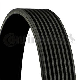 Continental 8PK1162EXTRA Courroie striée