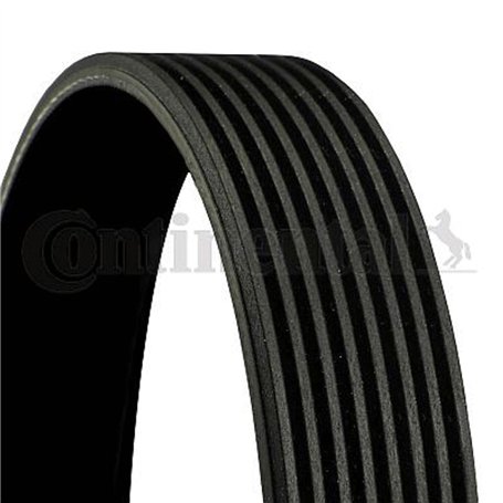 Continental 8PK1162EXTRA Courroie striée