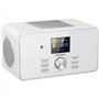 Grundig DTR 6000 X Portable Analogique et numérique Blanc