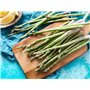 Lurch Éplucheur à asperges II/de table à 6 lames, y compris support de table vert, lames en plastique/acier inoxydable, blanc, 1