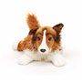 Collie