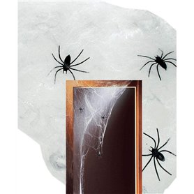 4 Fausses Araignées et Toile