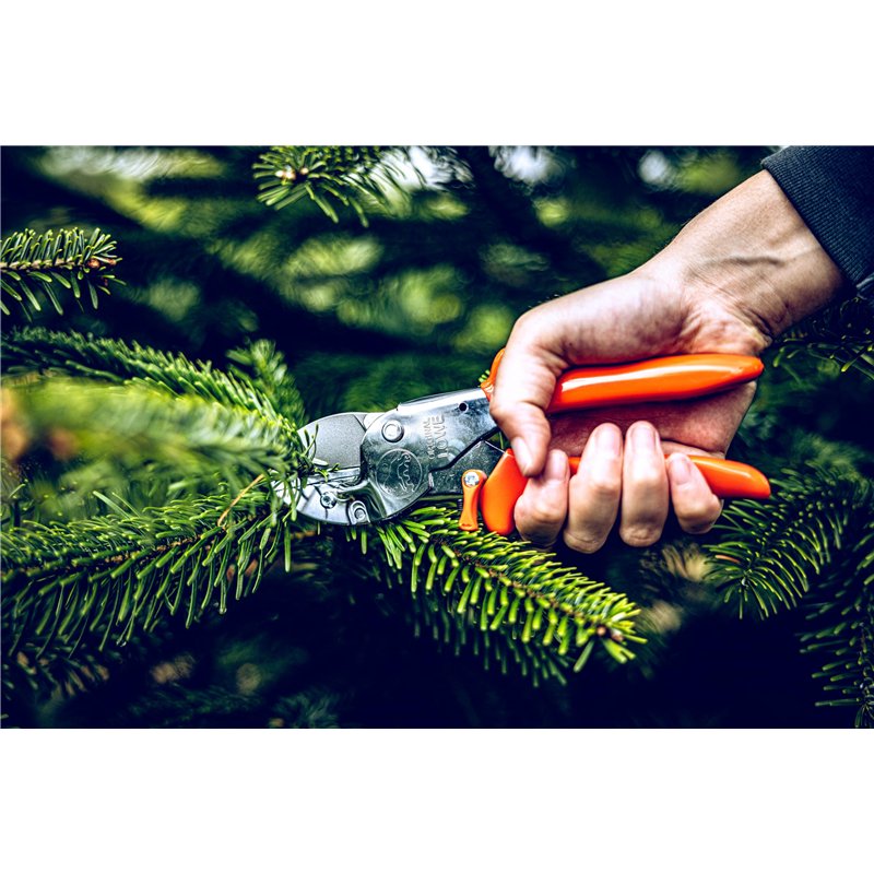 Image secondaire de Loewe 2104 Sécateur à enclume Pour grandes mains (Import Allemagne)