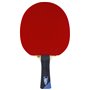 Raquette de Tennis de Table Félix LEBRUN