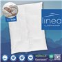 Böhmerwald 289601-10 Édredon pour enfant avec duvet et plumettes 100 x 135 cm (Blanc)