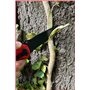 KS Tools 907.2220 Couteau Pliant avec Système de blocage