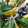 GRÜNTEK Sécateur de Jardin Professionnel Ciseaux Jardinage Forgé. Cisaille Lame franche en Acier et Titane. Coupe Bypass. Poigné