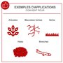 Coupe-Bordure