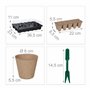 Plantes